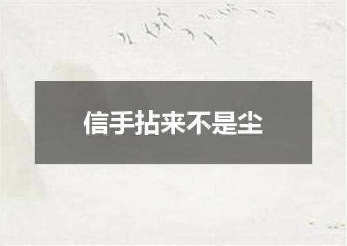 信手拈来不是尘