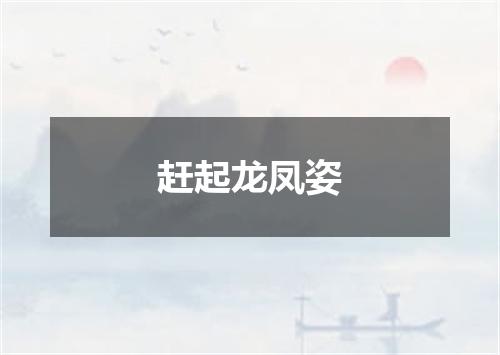 赶起龙凤姿