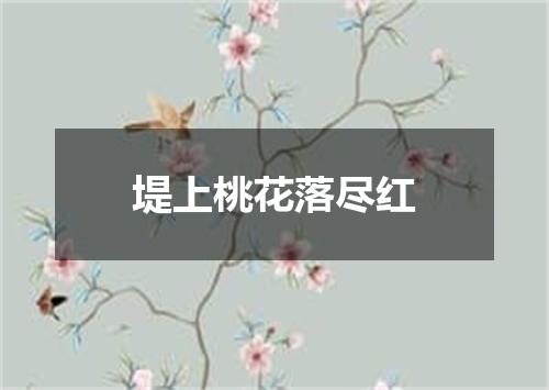 堤上桃花落尽红