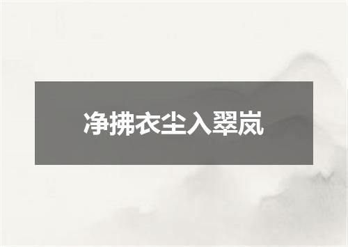净拂衣尘入翠岚