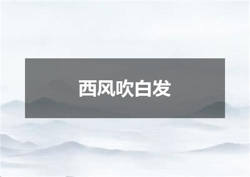 西风吹白发