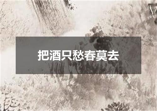 把酒只愁春莫去