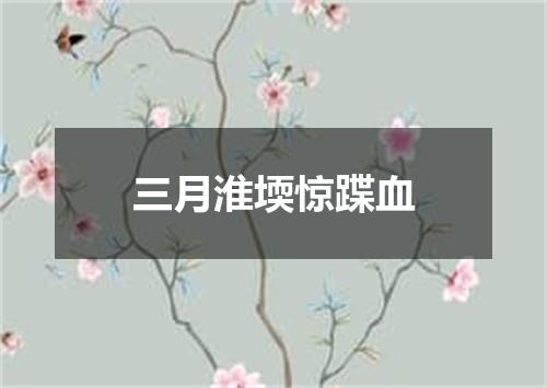 三月淮堧惊蹀血