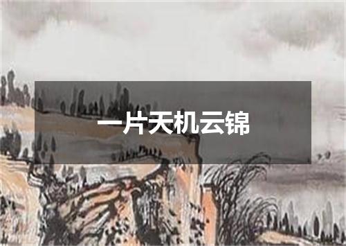 一片天机云锦