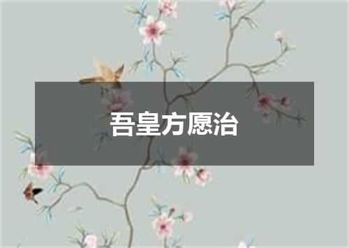 吾皇方愿治