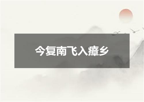 今复南飞入瘴乡