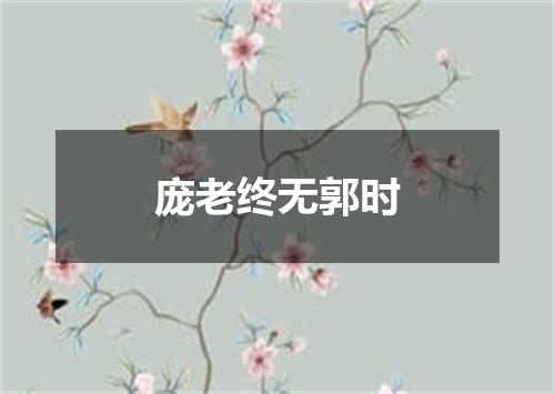 庞老终无郭时