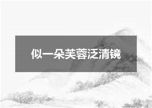 似一朵芙蓉泛清镜