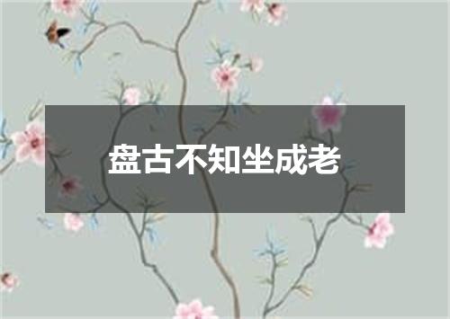 盘古不知坐成老
