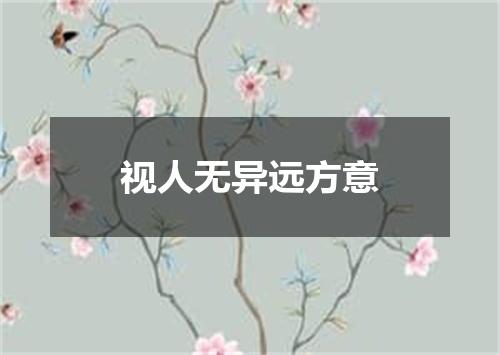 视人无异远方意