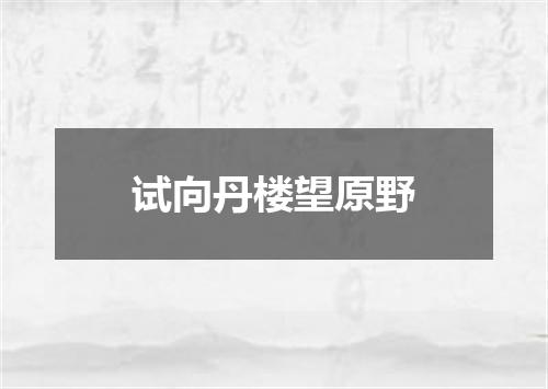 试向丹楼望原野