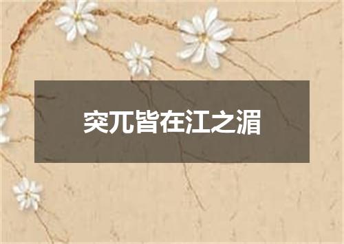 突兀皆在江之湄