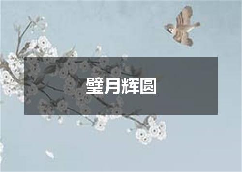 璧月辉圆