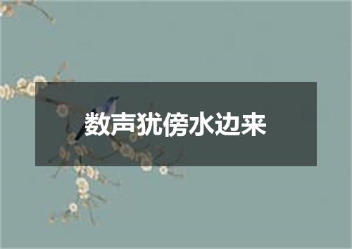 数声犹傍水边来