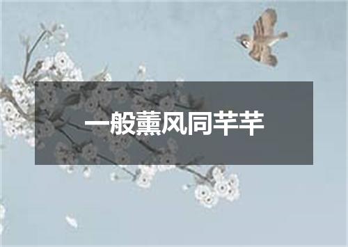 一般薰风同芊芊