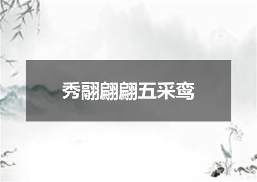 秀翮翩翩五采鸾