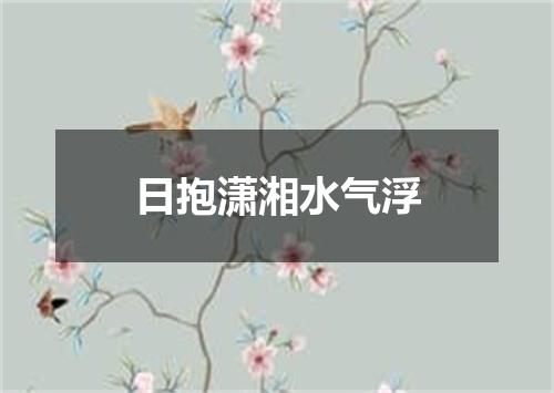 日抱潇湘水气浮