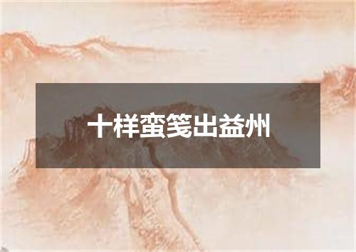十样蛮笺出益州