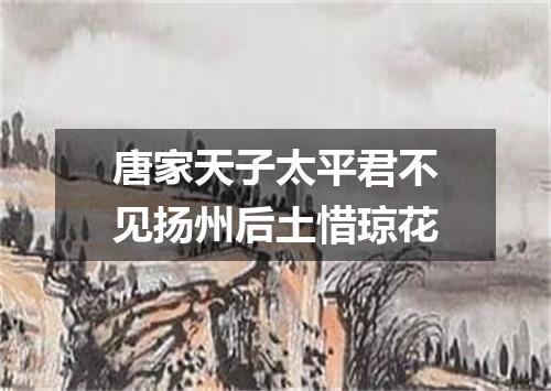 唐家天子太平君不见扬州后土惜琼花