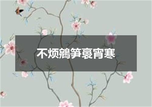 不烦鵷笋裛宵寒