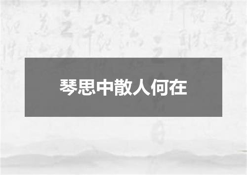 琴思中散人何在