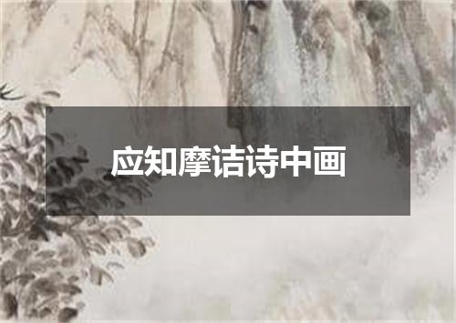 应知摩诘诗中画