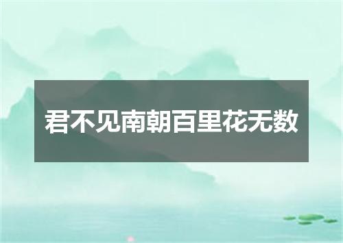 君不见南朝百里花无数