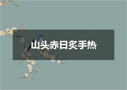 山头赤日炙手热