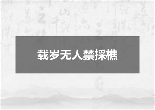 载岁无人禁採樵