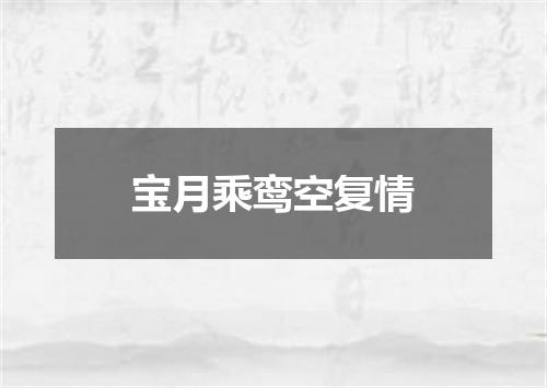 宝月乘鸾空复情