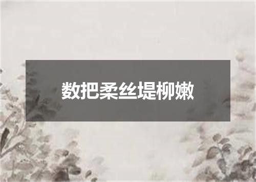 数把柔丝堤柳嫩