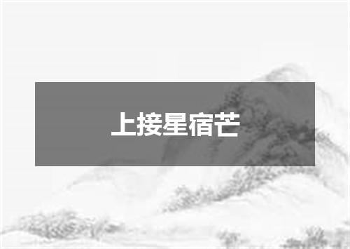 上接星宿芒