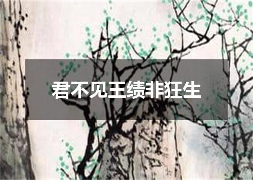君不见王绩非狂生