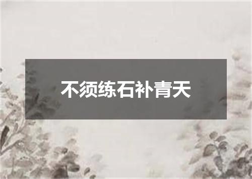 不须练石补青天
