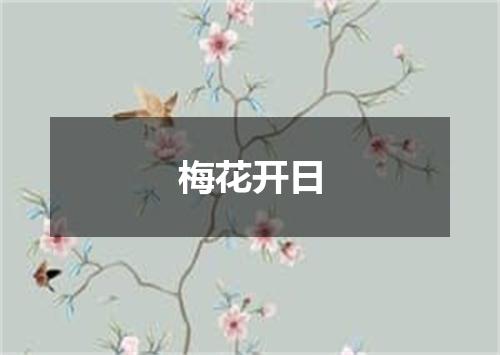 梅花开日