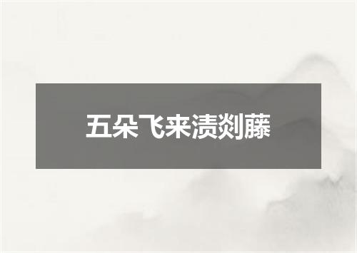 五朵飞来渍剡藤