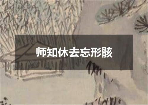 师知休去忘形骸
