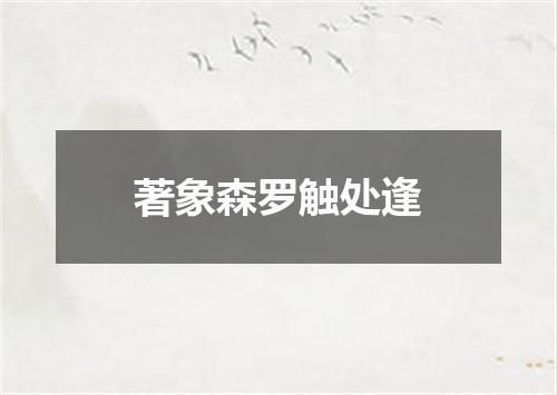 著象森罗触处逢