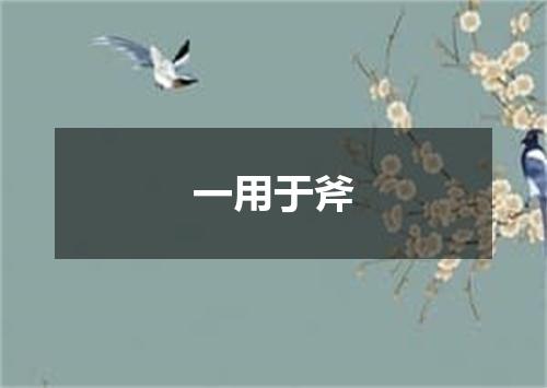 一用于斧