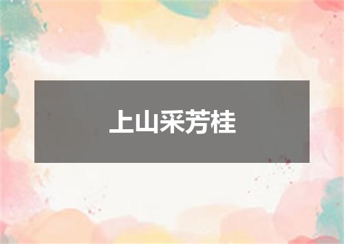 上山采芳桂