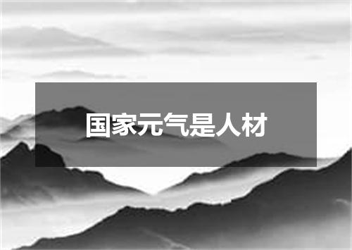 国家元气是人材