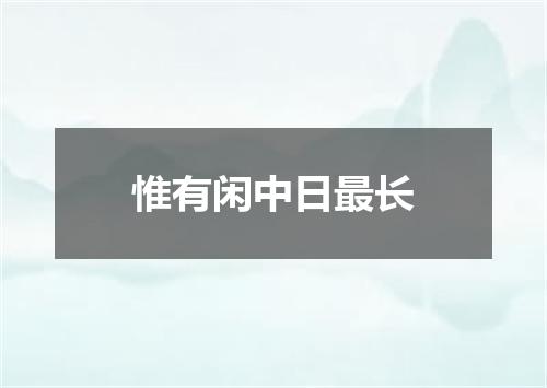 惟有闲中日最长