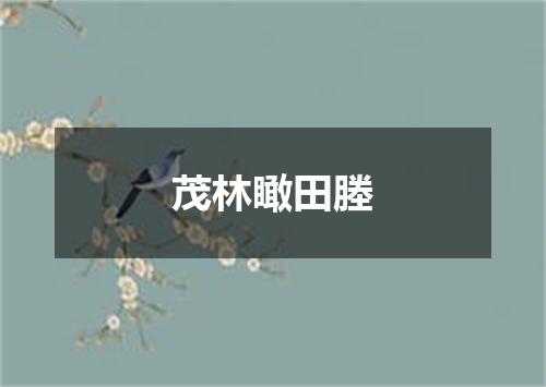 茂林瞰田塍