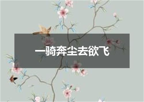 一骑奔尘去欲飞