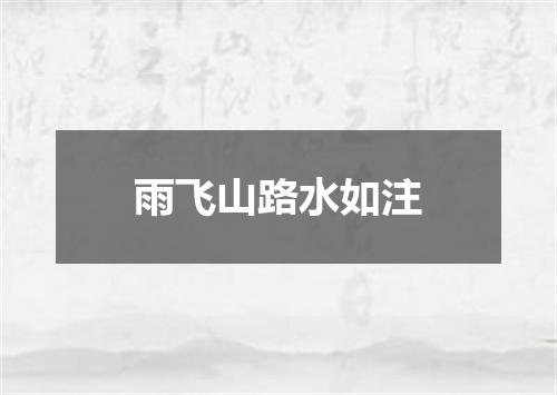 雨飞山路水如注