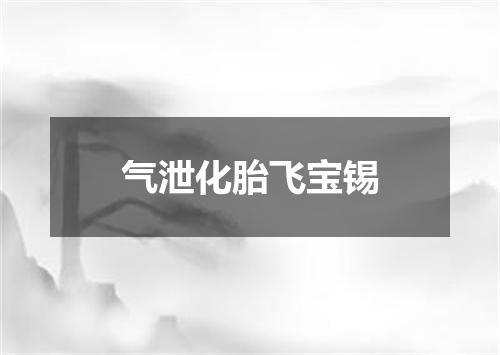 气泄化胎飞宝锡