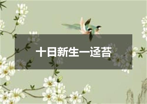 十日新生一迳苔