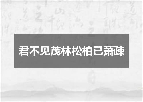 君不见茂林松柏已萧疎
