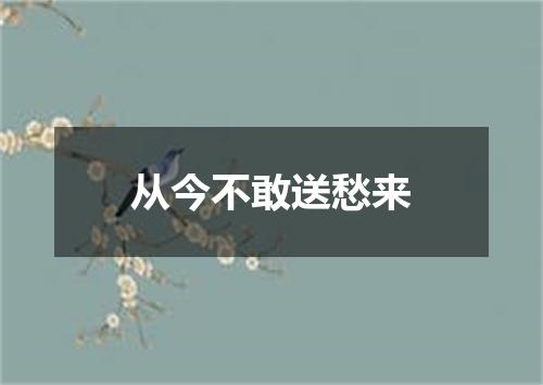 从今不敢送愁来