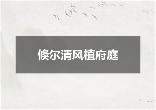 倏尔清风植府庭